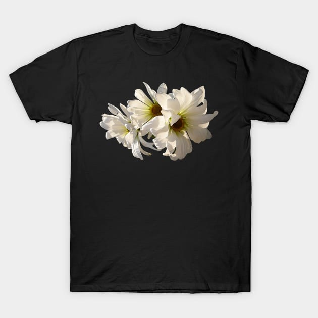 Daisies - White Daisies in Sunshine T-Shirt by SusanSavad